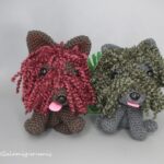 Cachorro Pili o Puli Cachorro Pili o Puli