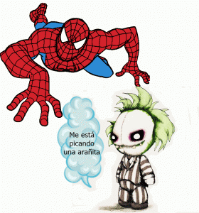 aranha_rasteja (1)